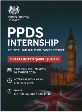 British Embassy PPDS Internship